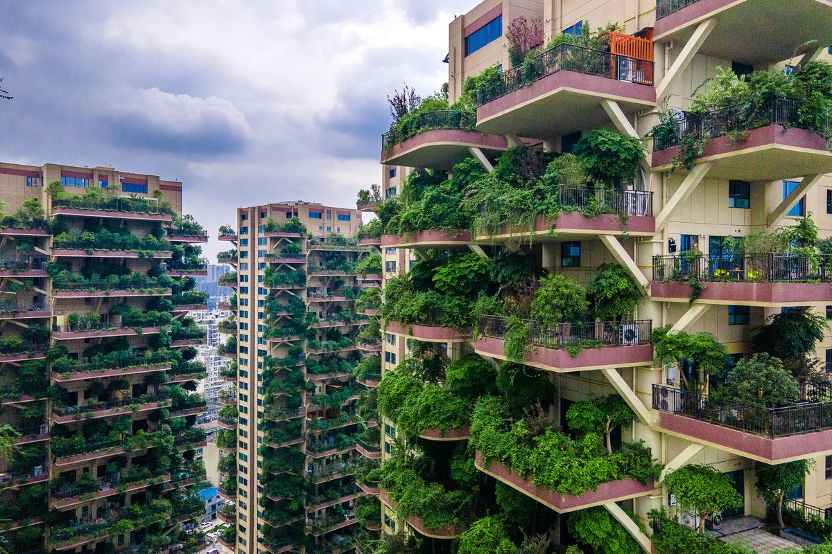 “Vertical Gardenscapes: Integrating Nature into Urban Living”