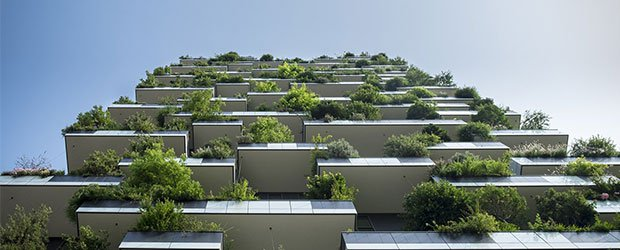 Energy-Efficient Building Strategies for Environmental Conservation