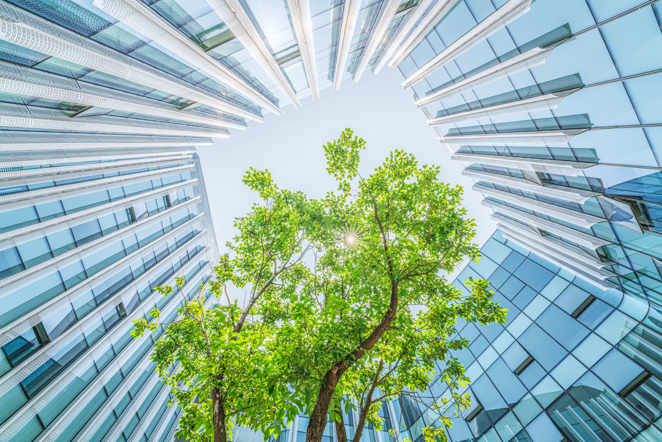 Sustainable Design Principles in Green Buildings